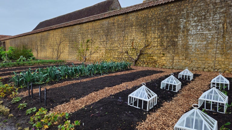 Barrington Court Kitchen Garden